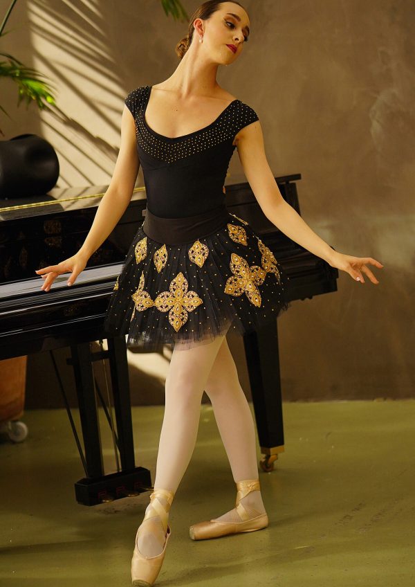 Gilded Arcadian Rhapsody - V (Matt) Ballerina Erica Mulkern MA